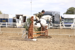 SBM_03501