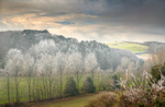 z3718 Winter Light from Brighstone Down
