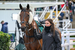 241025-Race 5-Calico-4409