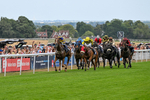 280726-Race 6-Azuinthejungle-1678