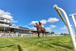 080726-Race 5-Sugarpiehoneybunch-2256