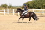 SBM_000636