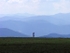 Max Patch Runner