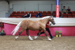 SBM_17447