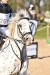 250302A-093734-01271