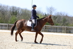 Class 6: Novice 2 2024 Section B portfolio