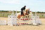 SBM_005541