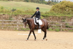 SBM_001446