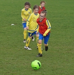 DSC00266