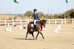 SBM_016963