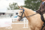 SBM_18193