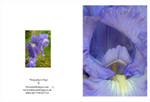 EX. IRIS 2