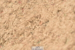 240331A-145818-01179