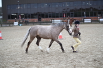 SBM_005959