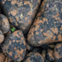 LITTLE GREEN, OCTOBER 2018 - BRUCE PENINSULA