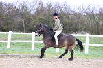 SBM_007438