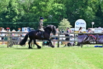 SBM_07910