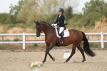 SBM_022037