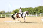 SBM_010131