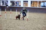 SBM_005620