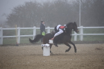 SBM_000954
