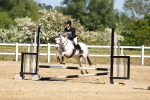SBM_007613