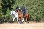 WJ6_8330
