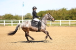 SBM_001013