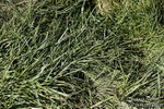 PtP 260317 89