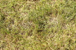 SBM_05599