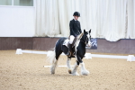 SBM_000442