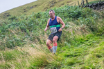 Steel Fell-706