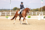 SBM_018433