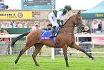 220826-183 Mr Hollywood