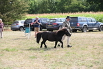 WJ6_7042