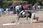 BPP_9023