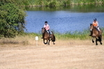 WJ6_8754