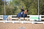Cls 22 Young Horse 5 YO Presentations portfolio