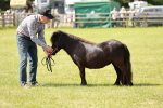 SBM_02460