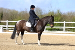 3E7A1998