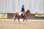 SBM_010331