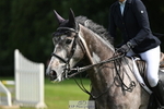Cls 25 Snr British Novice and 90cm portfolio