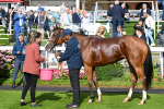 230824-Race 5-Canoodled-9776