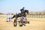 SBM_000676