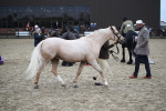 SBM_006417