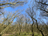 4176 Ragleth Wood