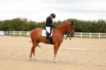 Class 5-6 - Novice 3-Elem 3 portfolio