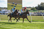 Race 4 portfolio