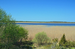 Sutlepa meri, Silma Nature Reserve, Estonia