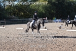 BPP_9050
